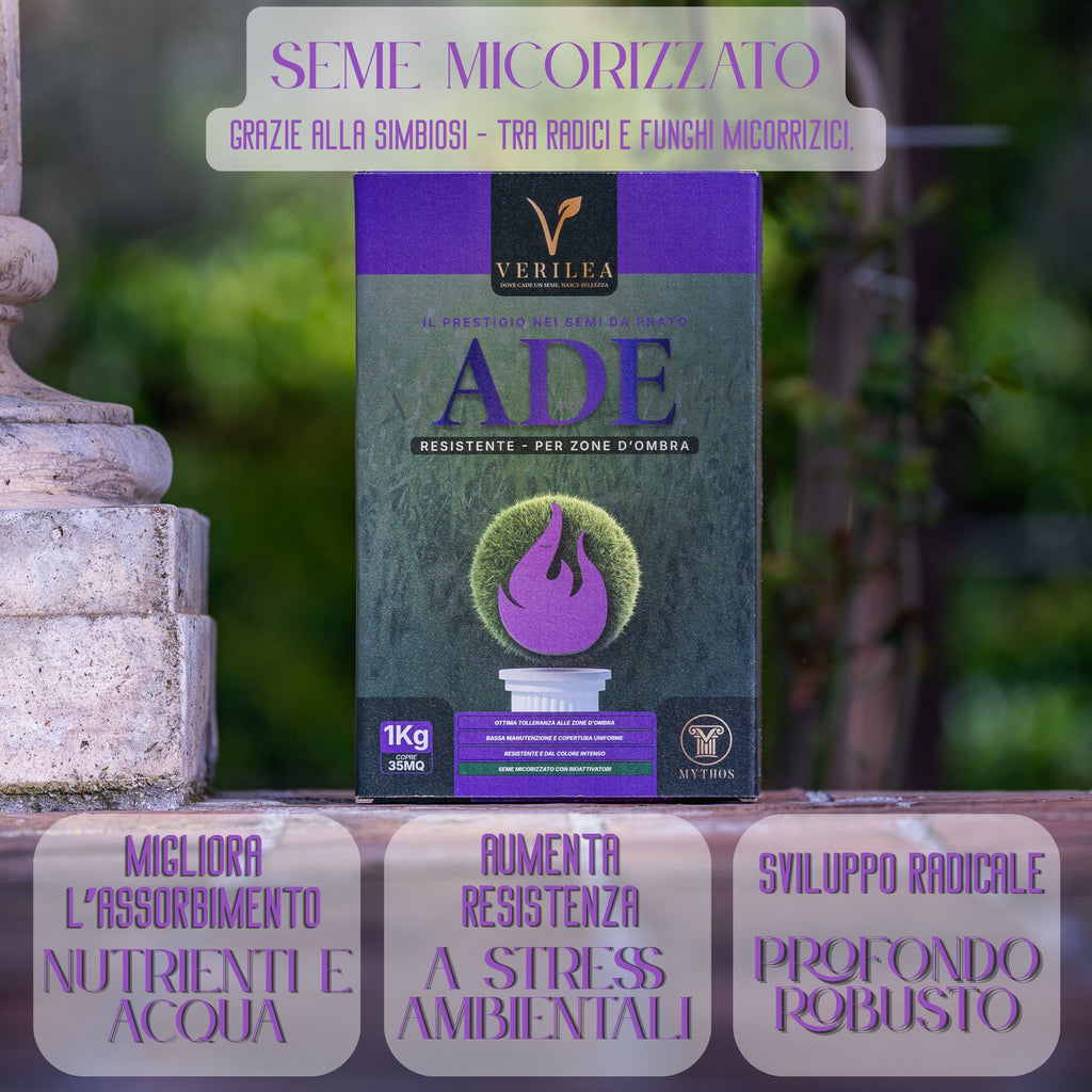 Ade –  Semi Prato di alta qualità - resistente per zone d'ombra