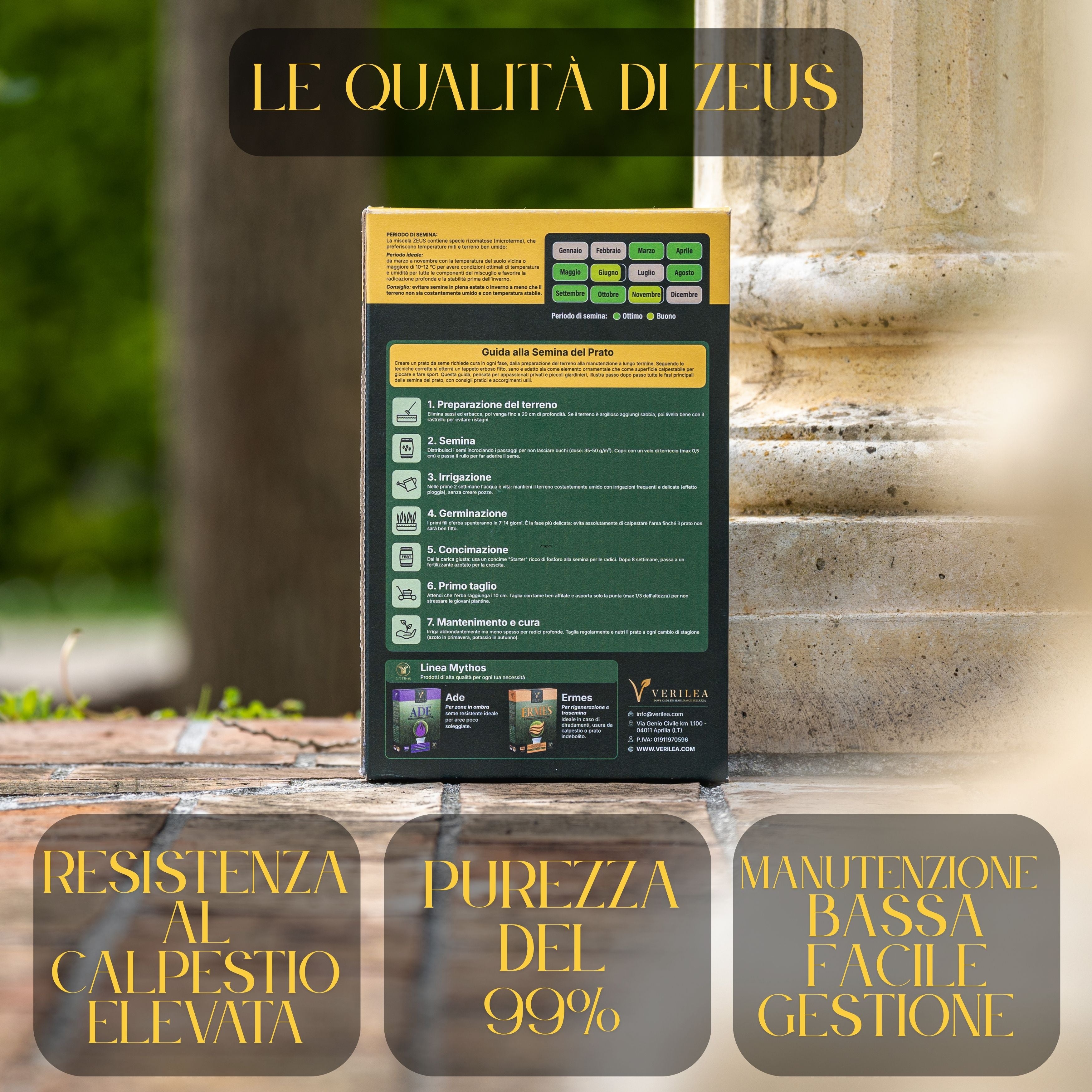 Zeus - Semi prato di alta qualità - Resistente, Fitto e Uniforme