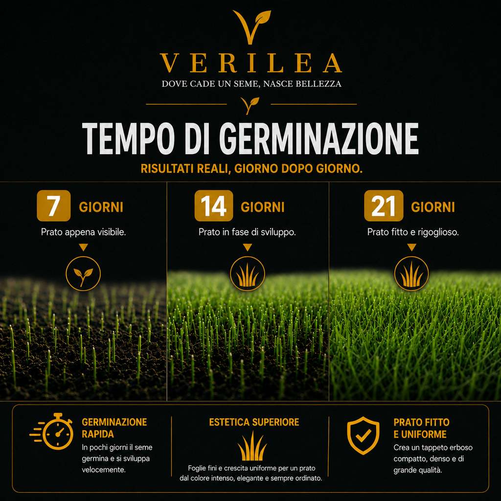 Zeus - Semi prato di alta qualità - Resistente, Fitto e Uniforme