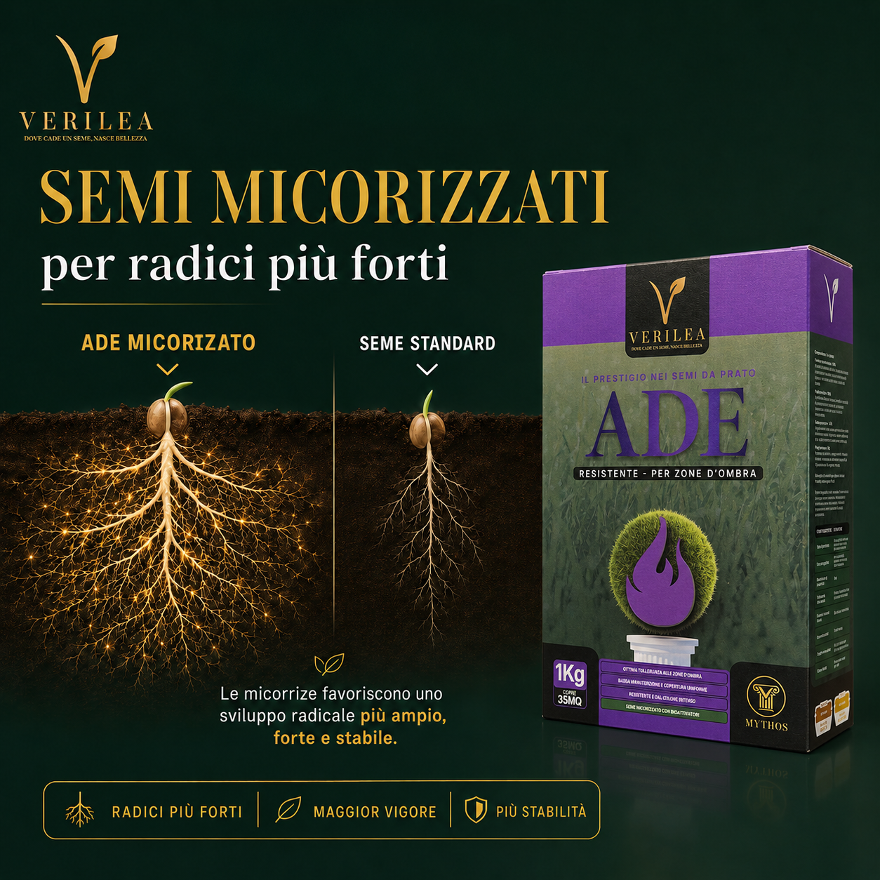 Ade –  Semi Prato di alta qualità - resistente per zone d'ombra