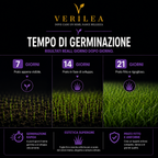 Ade –  Semi Prato di alta qualità - resistente per zone d'ombra
