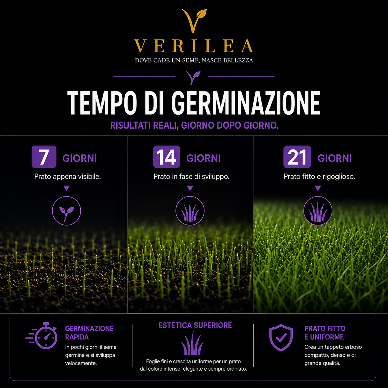 Ade –  Semi Prato di alta qualità - resistente per zone d'ombra