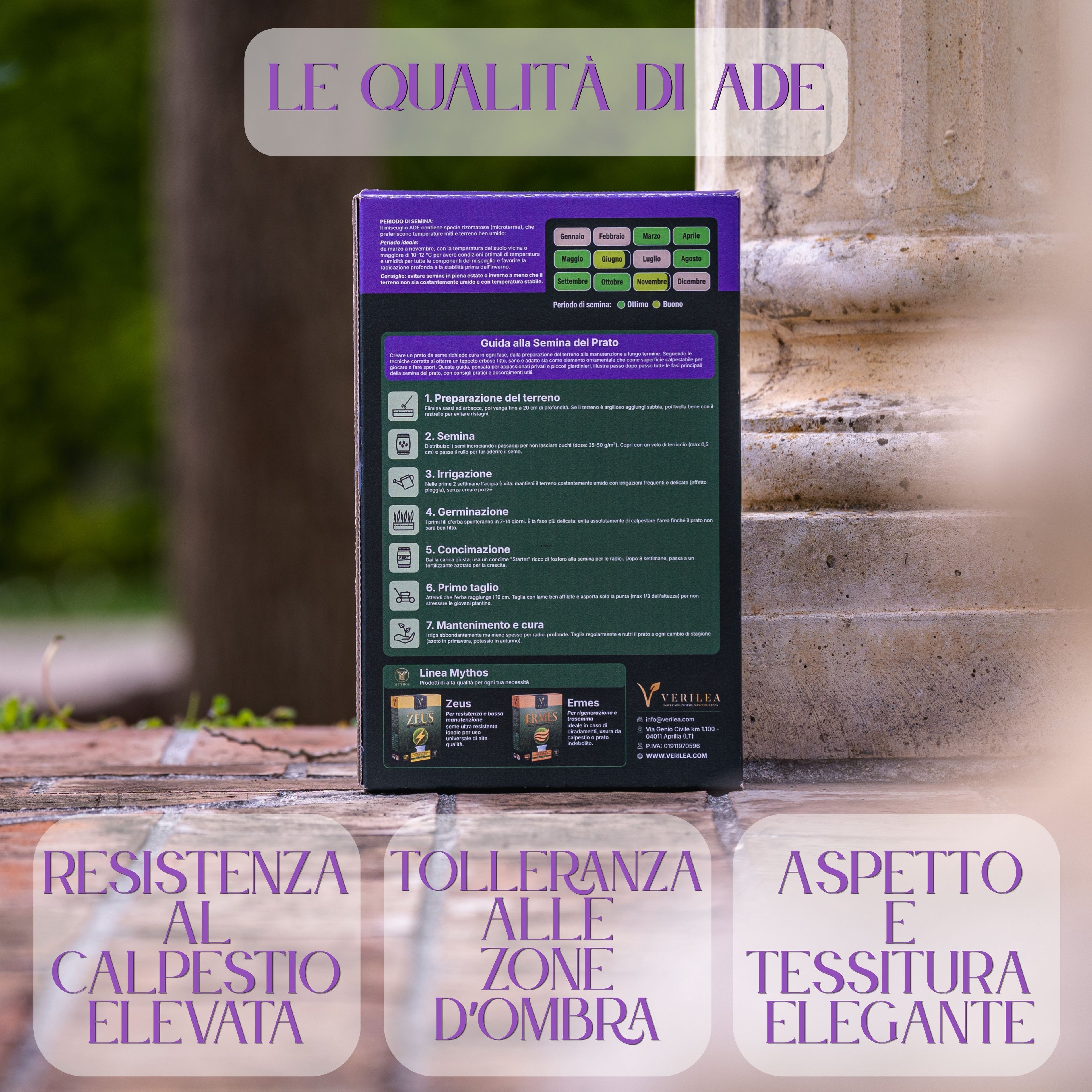 Ade –  Semi Prato di alta qualità - resistente per zone d'ombra