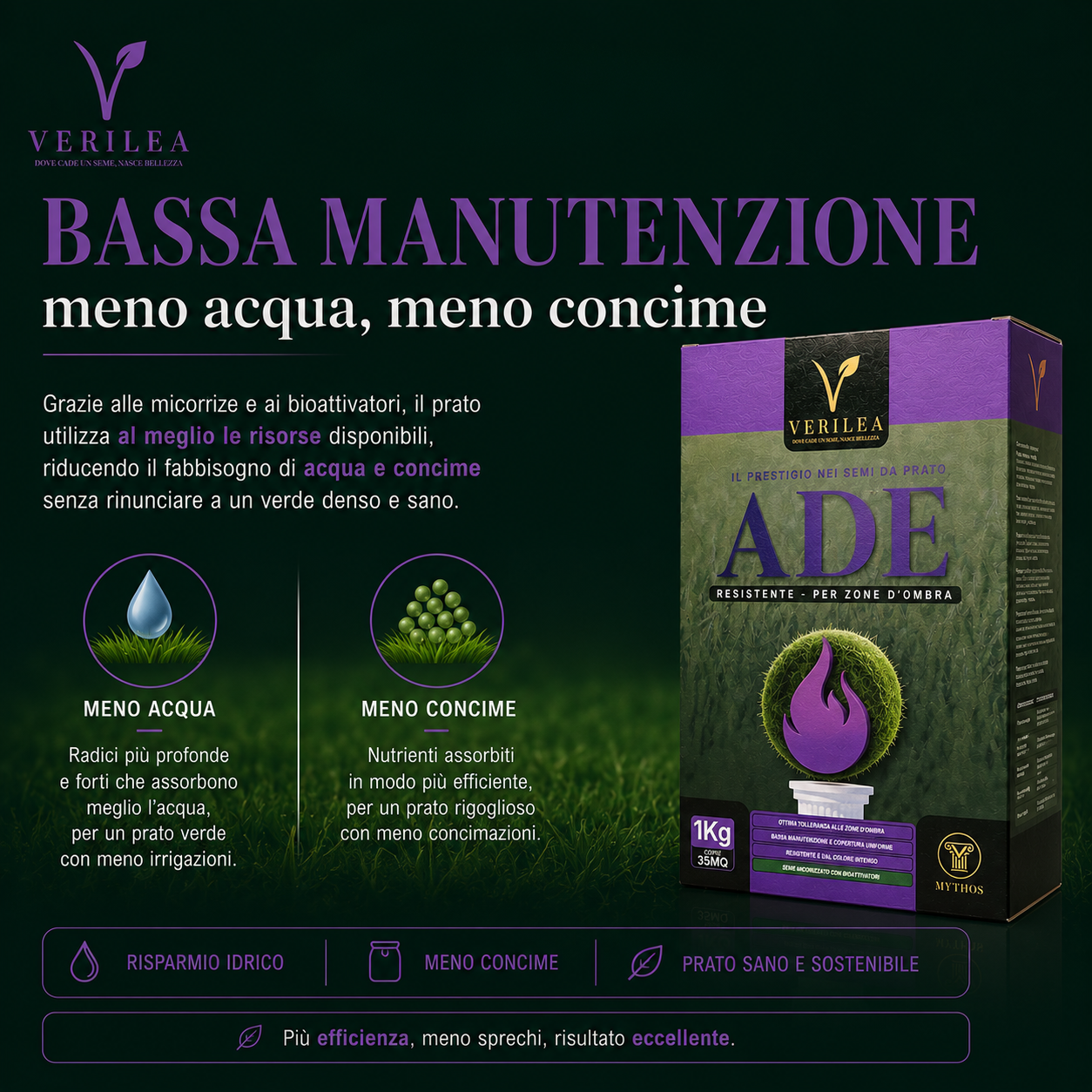 Ade –  Semi Prato di alta qualità - resistente per zone d'ombra