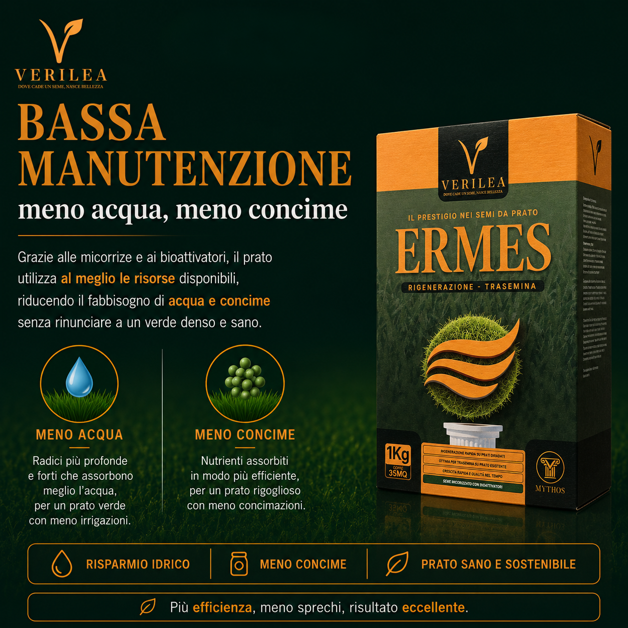 Ermes – Semi prato di alta qualità - per Rigenerazione e Trasemina del Prato