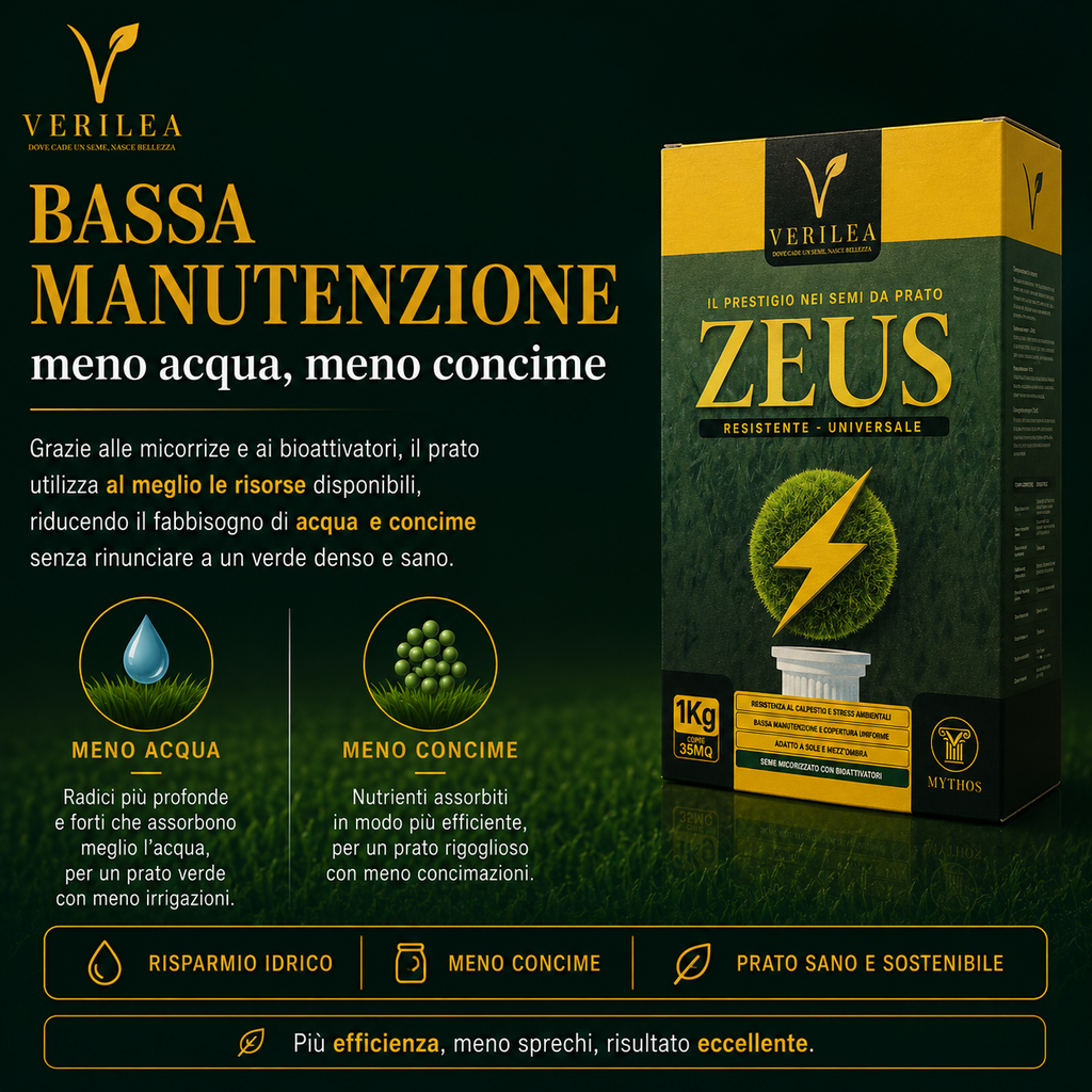 Zeus - Semi prato di alta qualità - Resistente, Fitto e Uniforme