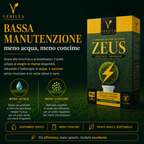 Zeus - Semi prato di alta qualità - Resistente, Fitto e Uniforme