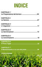 Guida Digitale “DAL SEME AL PRATO” – Manuale Verilea per un prato perfetto in 7 passaggi.