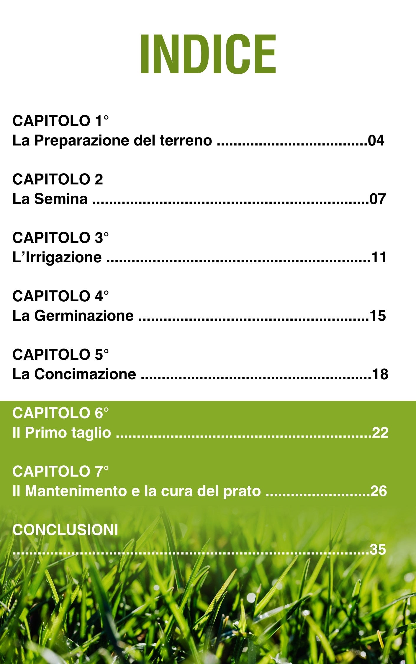 Guida Digitale “DAL SEME AL PRATO” – Manuale Verilea per un prato perfetto in 7 passaggi.