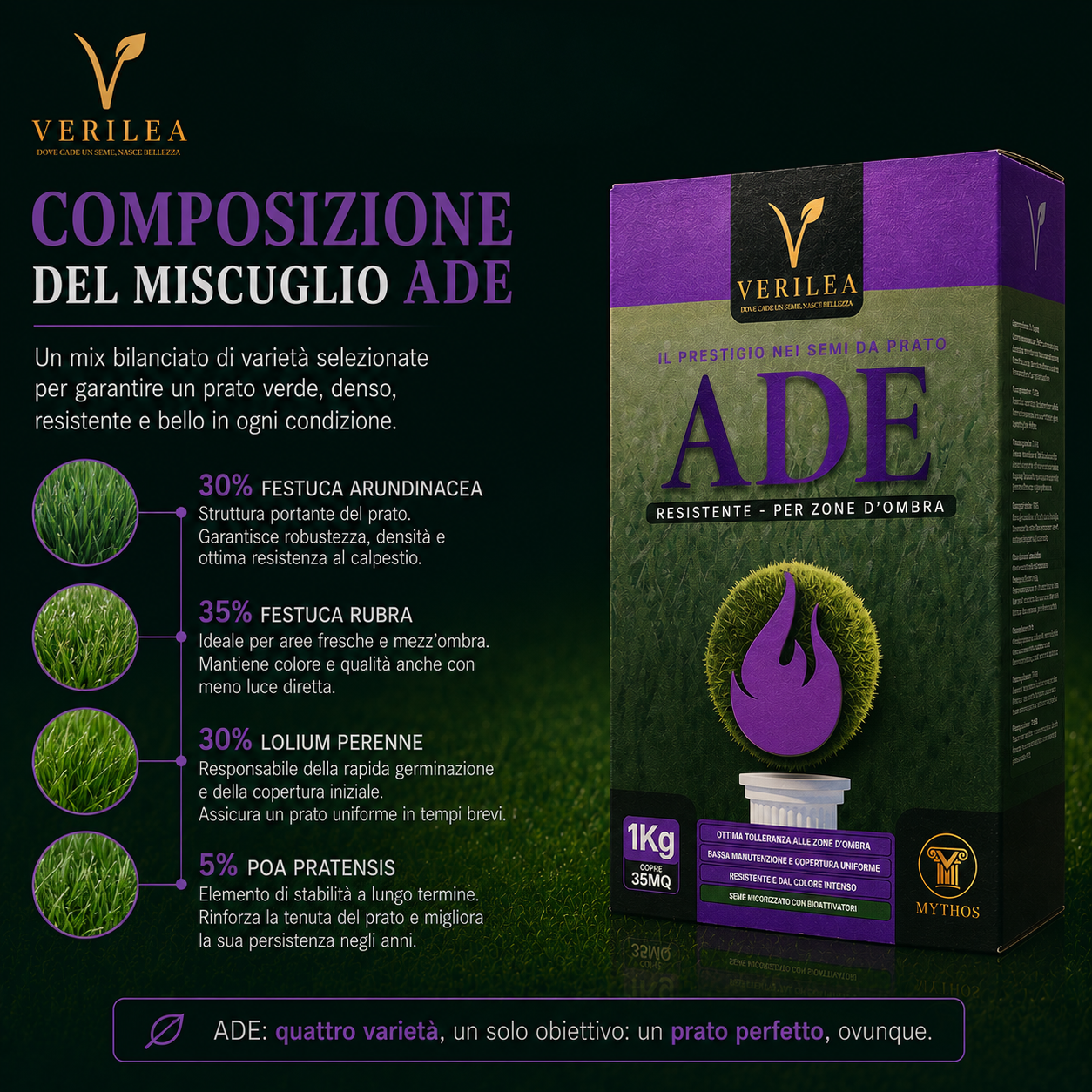 Ade –  Semi Prato di alta qualità - resistente per zone d'ombra