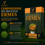 Ermes – Semi prato di alta qualità - per Rigenerazione e Trasemina del Prato