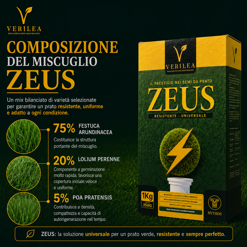 Zeus - Semi prato di alta qualità - Resistente, Fitto e Uniforme