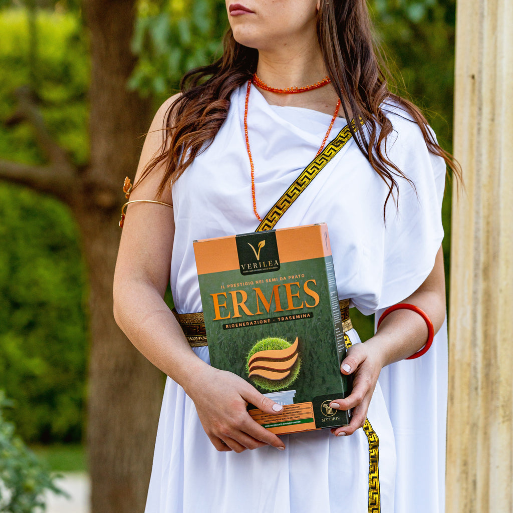 Ermes – Semi prato di alta qualità - per Rigenerazione e Trasemina del Prato