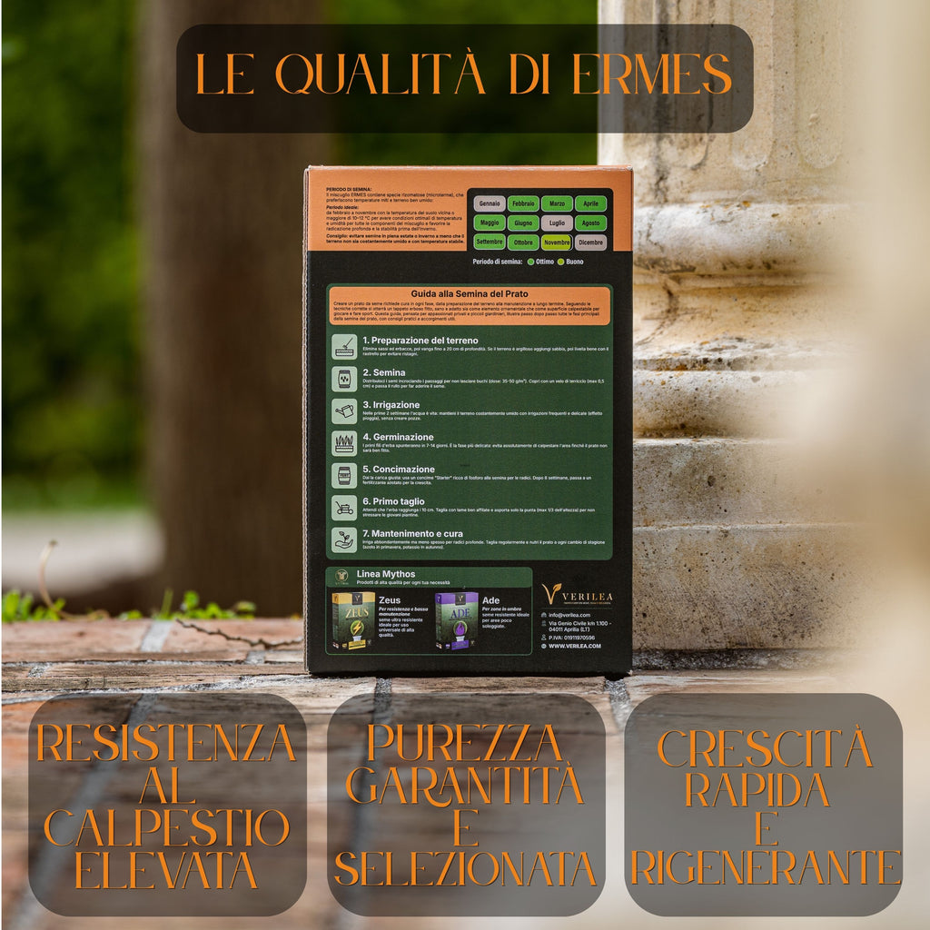 Ermes – Semi prato di alta qualità - per Rigenerazione e Trasemina del Prato