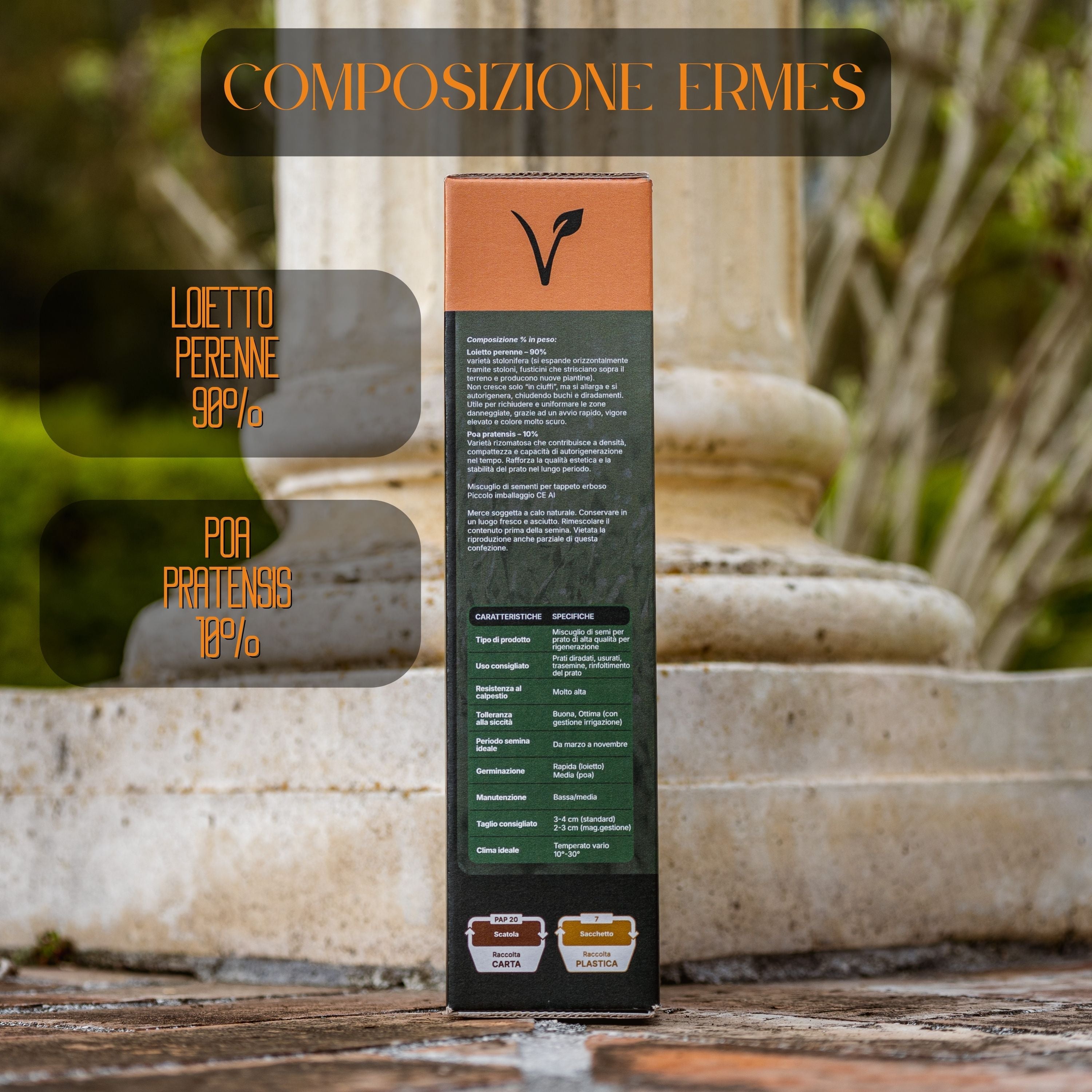 Ermes – Semi prato di alta qualità - per Rigenerazione e Trasemina del Prato