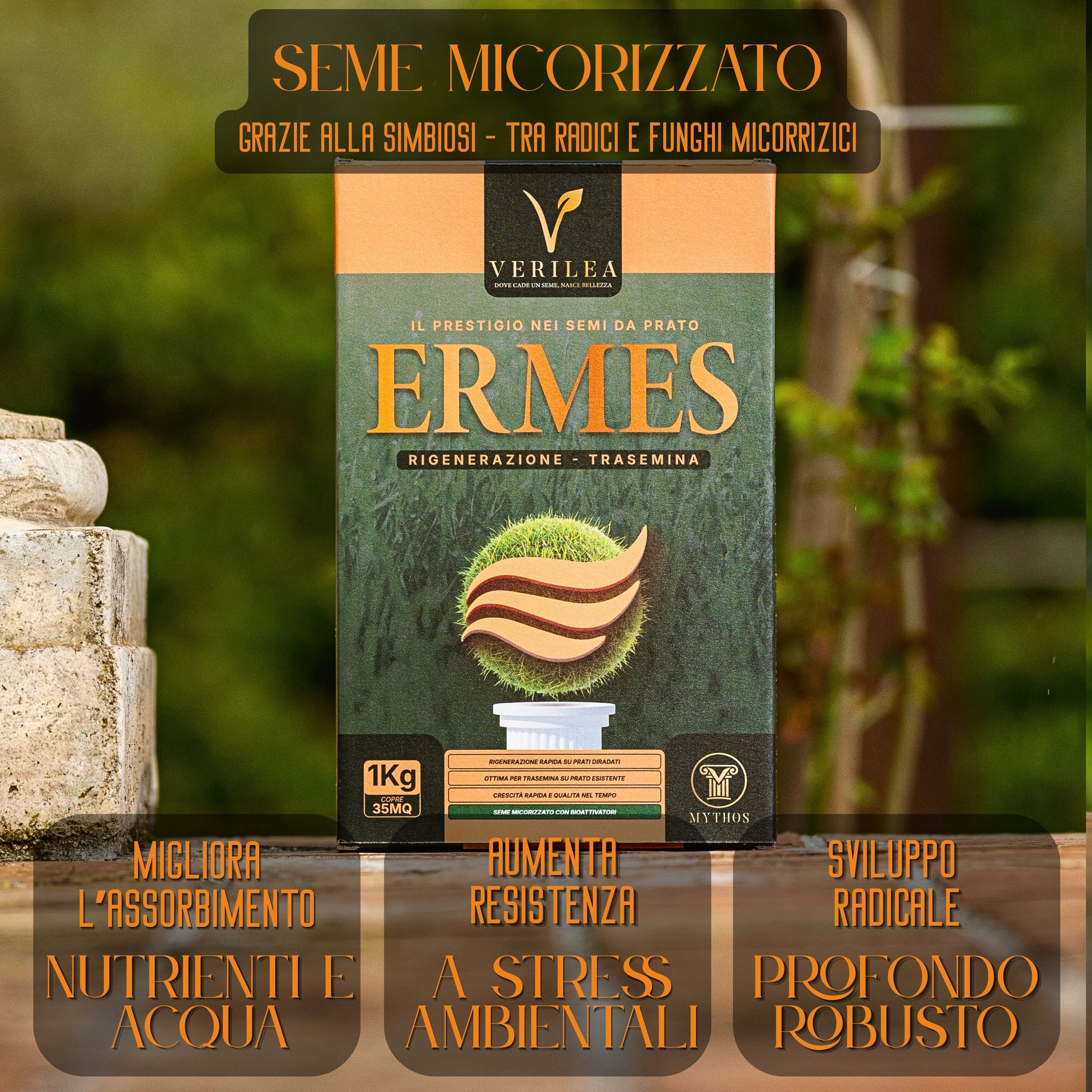 Ermes – Semi prato di alta qualità - per Rigenerazione e Trasemina del Prato