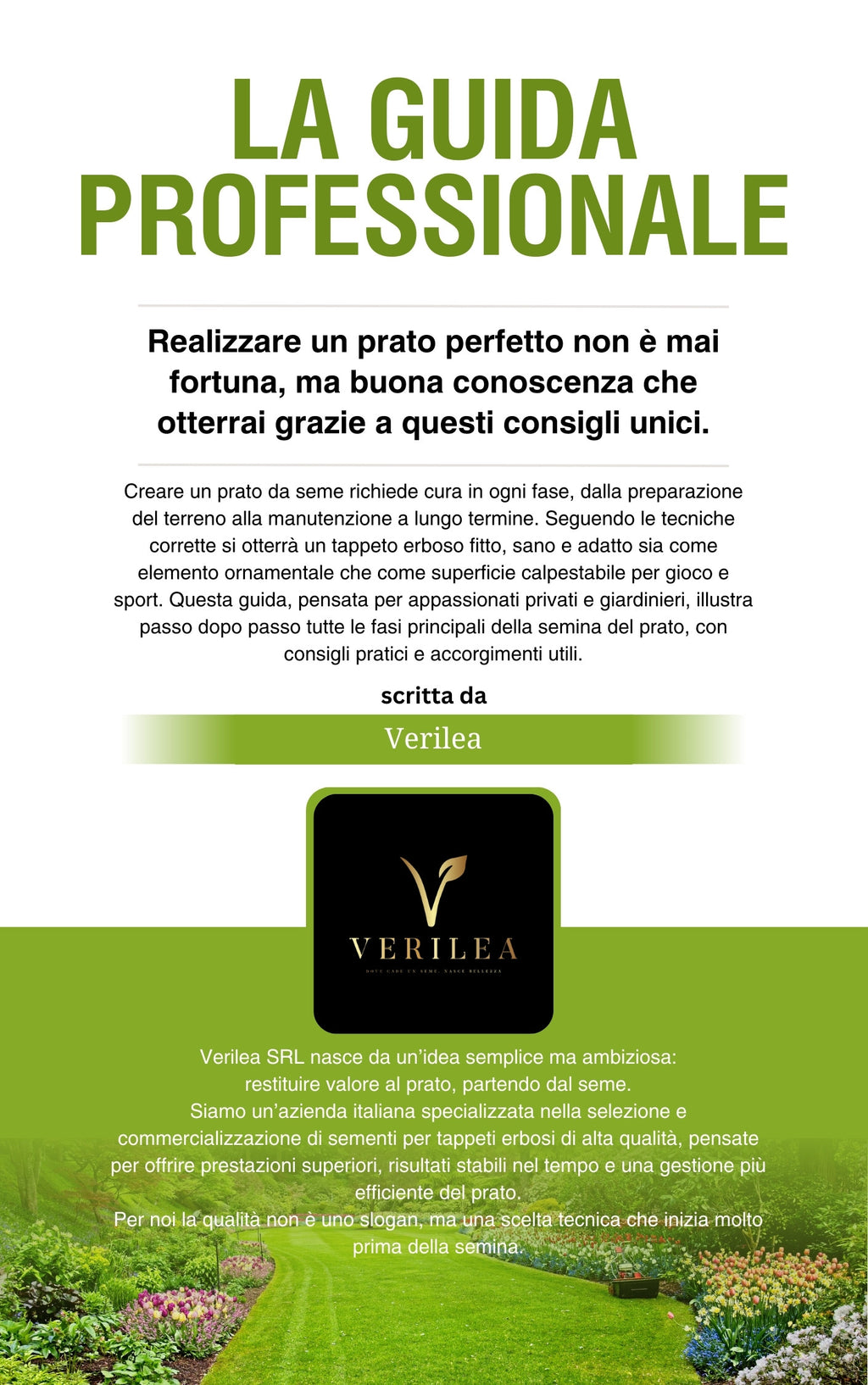 Guida Digitale “DAL SEME AL PRATO” – Manuale Verilea per un prato perfetto in 7 passaggi.