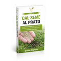 Guida Digitale “DAL SEME AL PRATO” – Manuale Verilea per un prato perfetto in 7 passaggi.