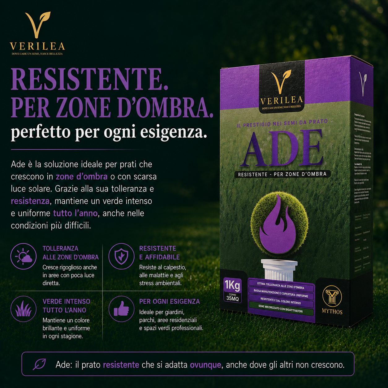 Ade –  Semi Prato di alta qualità - resistente per zone d'ombra