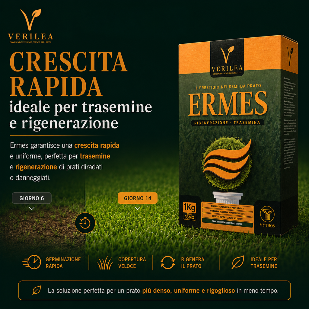 Ermes – Semi prato di alta qualità - per Rigenerazione e Trasemina del Prato