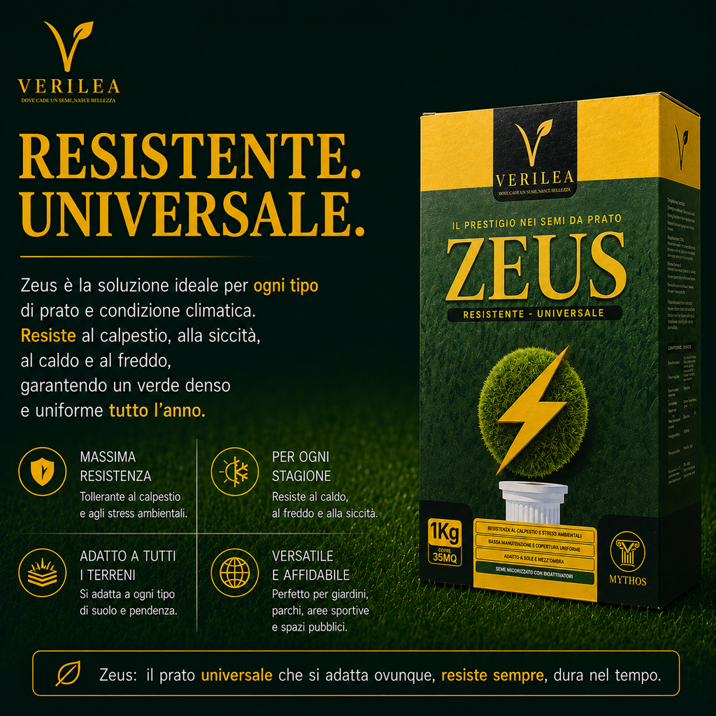 Zeus - Semi prato di alta qualità - Resistente, Fitto e Uniforme