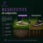 Ade –  Semi Prato di alta qualità - resistente per zone d'ombra