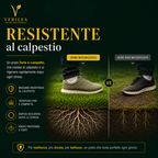 Zeus - Semi prato di alta qualità - Resistente, Fitto e Uniforme