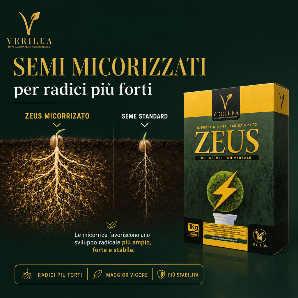 Zeus - Semi prato di alta qualità - Resistente, Fitto e Uniforme