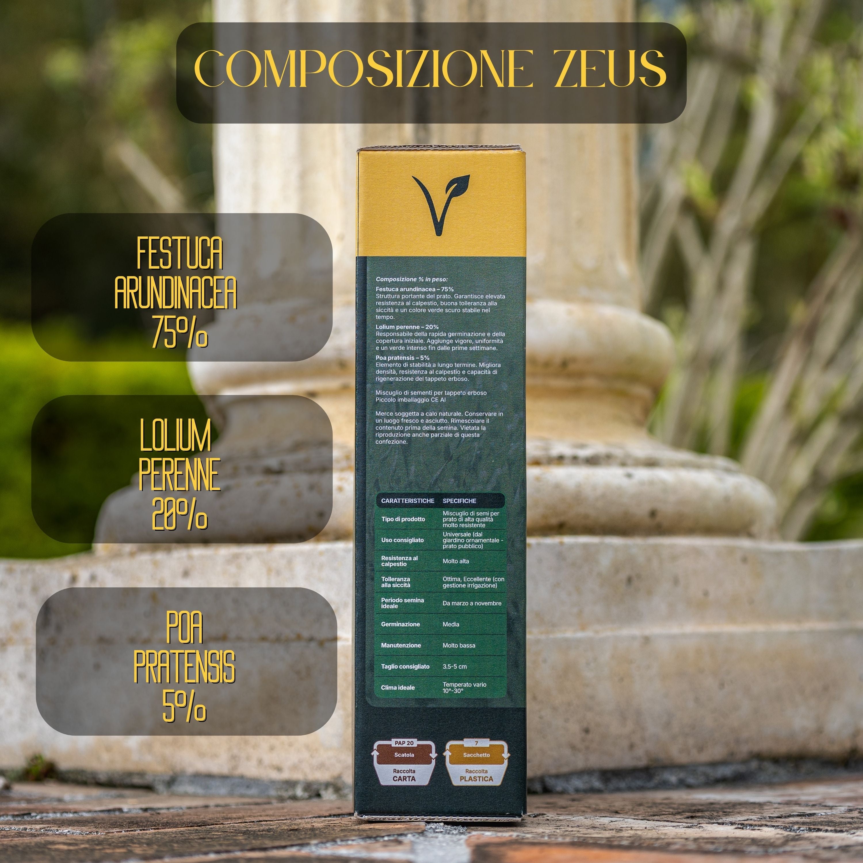 Zeus - Semi prato di alta qualità - Resistente, Fitto e Uniforme