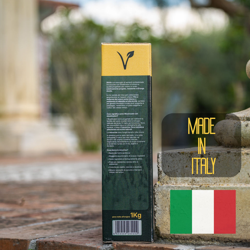 Zeus - Semi prato di alta qualità - Resistente, Fitto e Uniforme