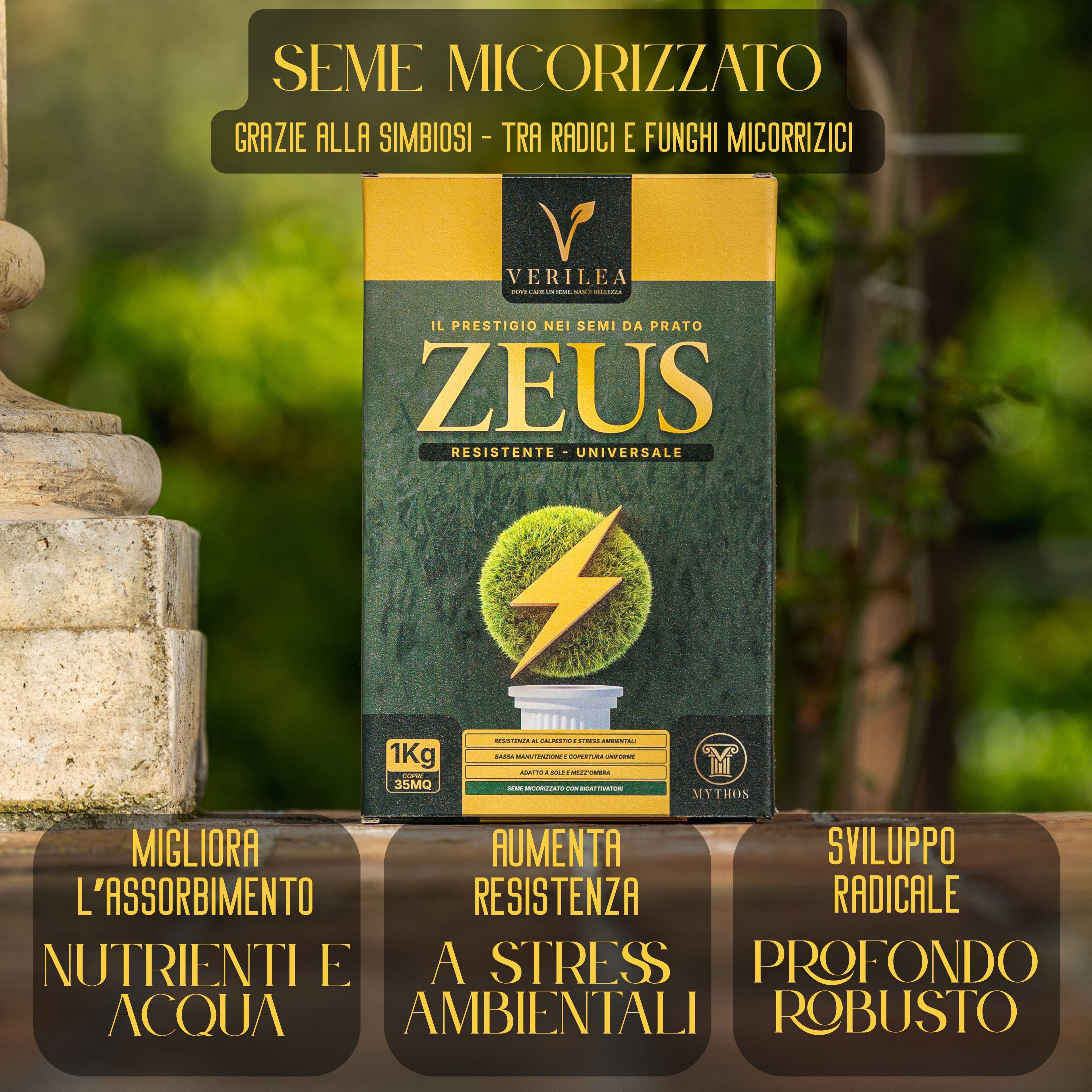 Zeus - Semi prato di alta qualità - Resistente, Fitto e Uniforme